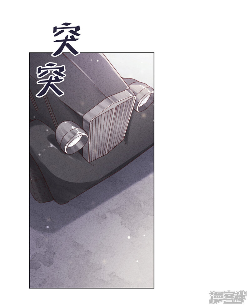 《少帅,你老婆要翻天!》第99话 嗜血狂花 第27页