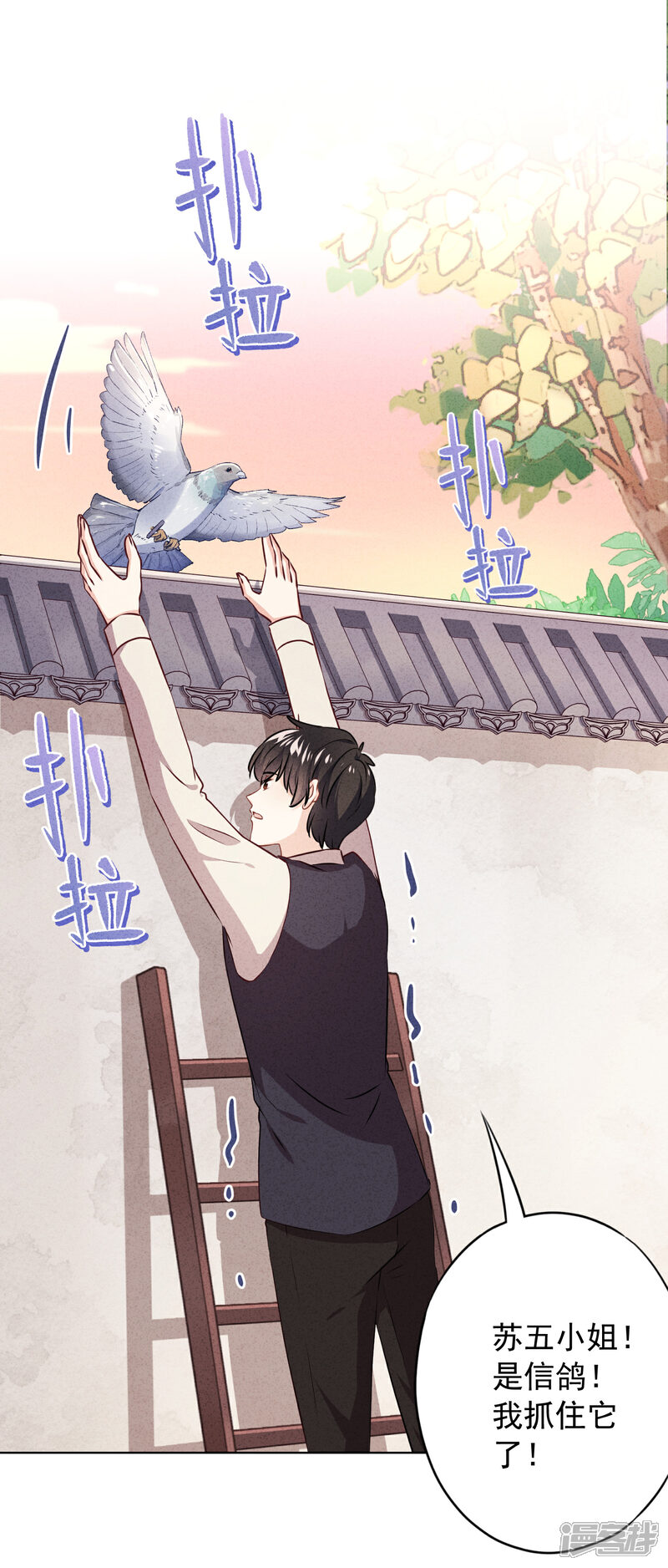 《少帅,你老婆要翻天!》第142话 行动信号 第2页