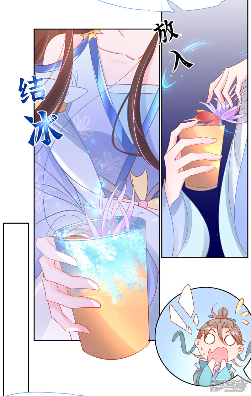 《王妃的修仙指南》第36话 竟然炼出了精品灵丹 第14页