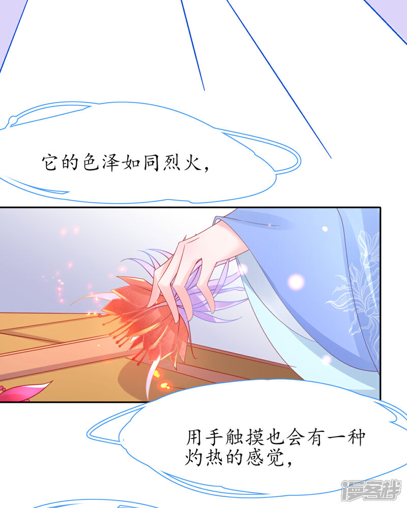 《王妃的修仙指南》第36话 竟然炼出了精品灵丹 第8页