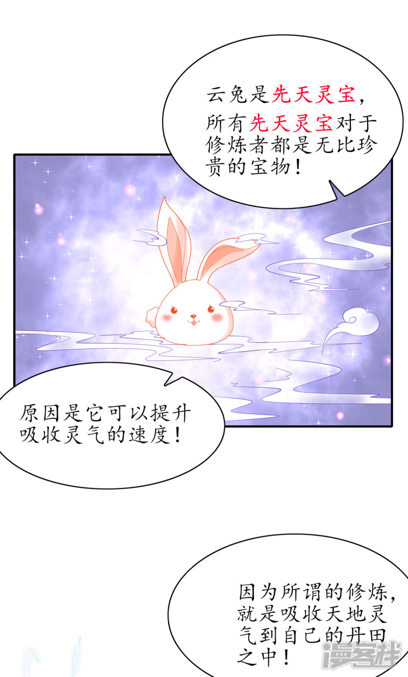 《王妃的修仙指南》第66话 先天灵宝 云兔 第7页