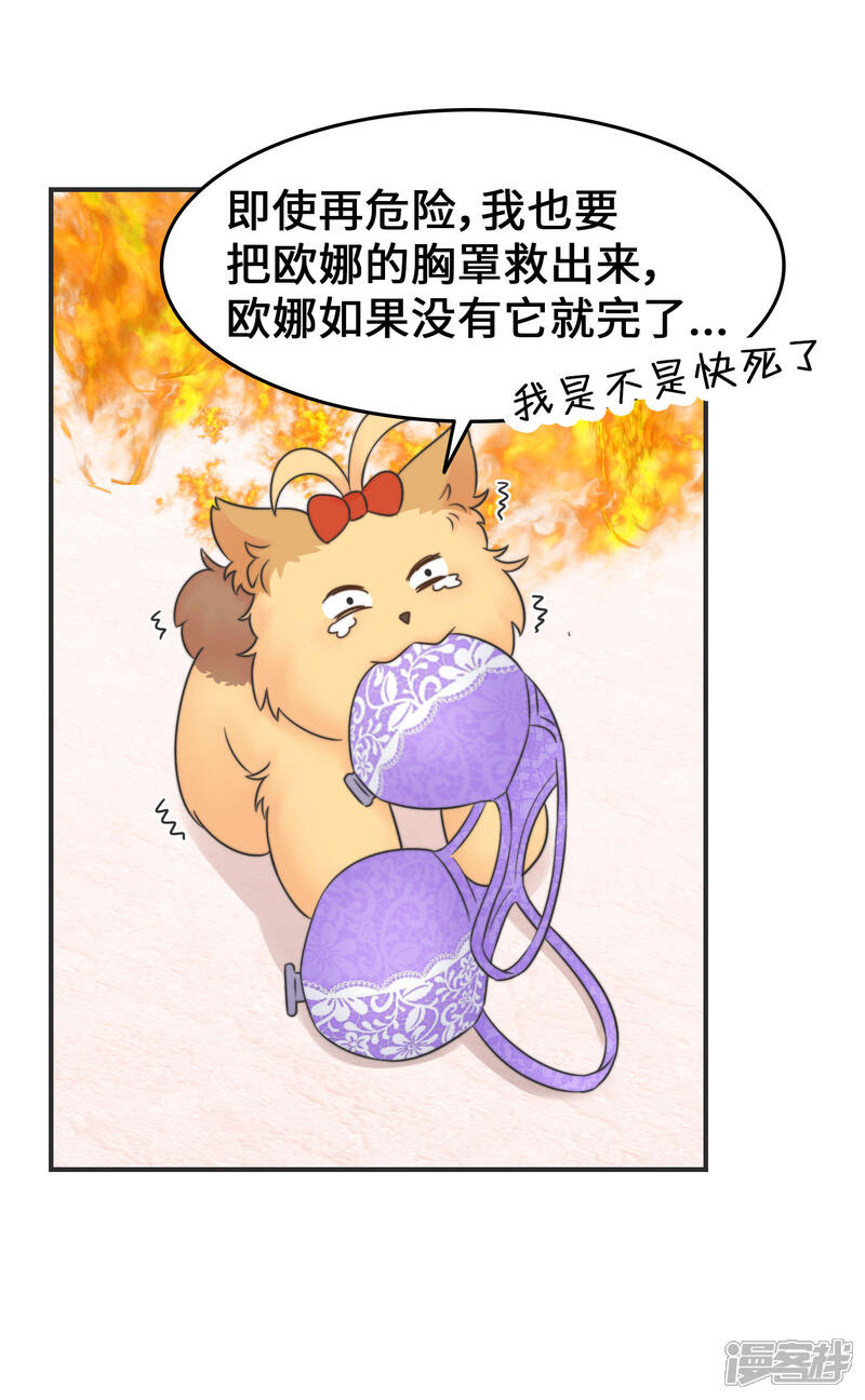 《当代大学生哈哈概论》第2季28话 我的英雄 第13页