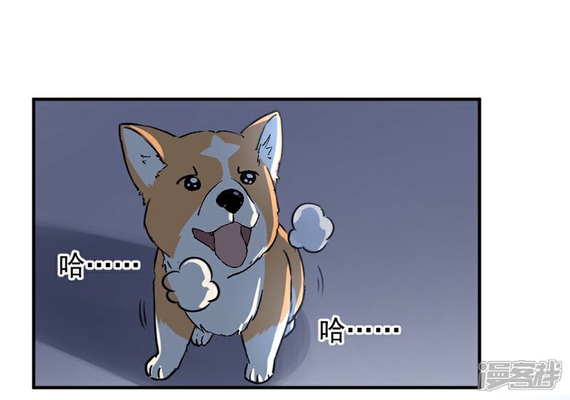 《犬侠》第3话 城市角落 第12页