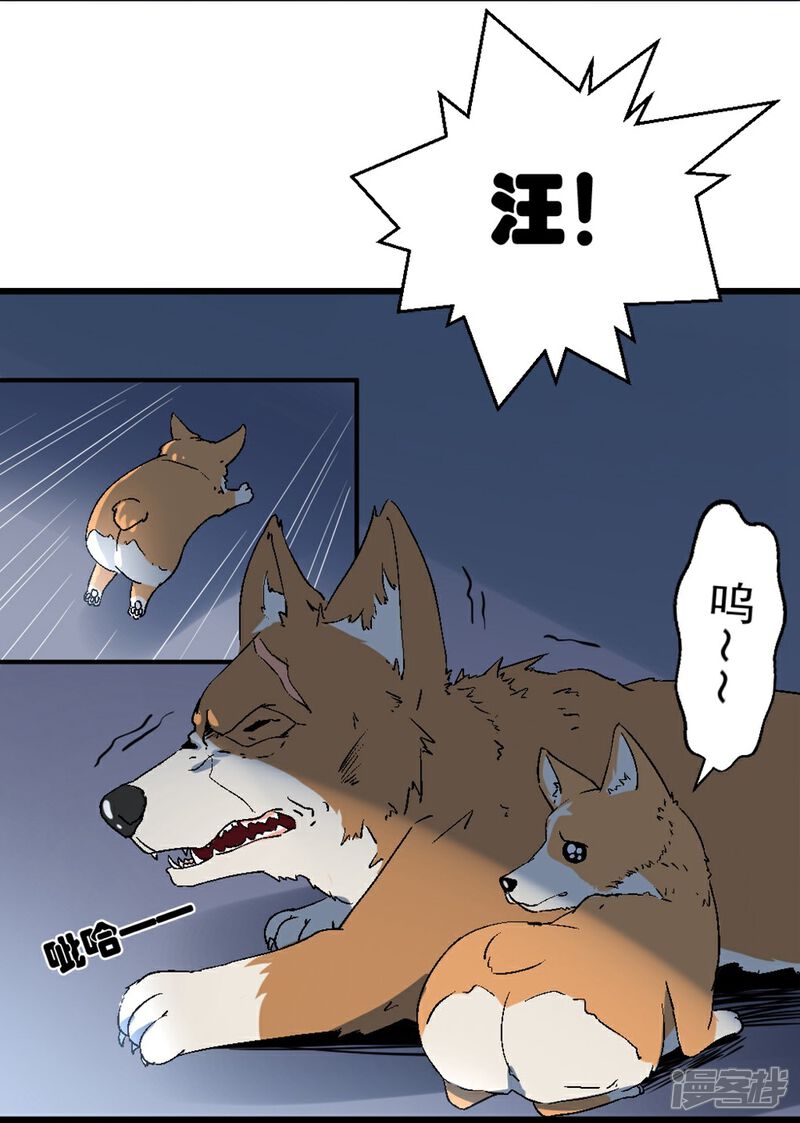 《犬侠》第3话 城市角落 第15页