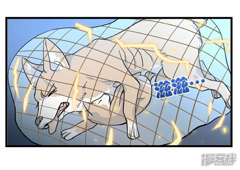《犬侠》第8话 二阶段 第5页