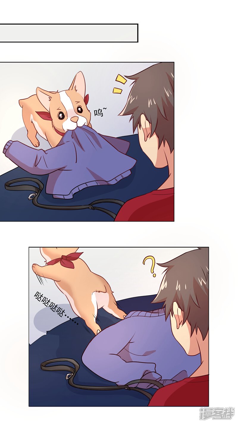 《犬侠》第36话 糯米 第4页