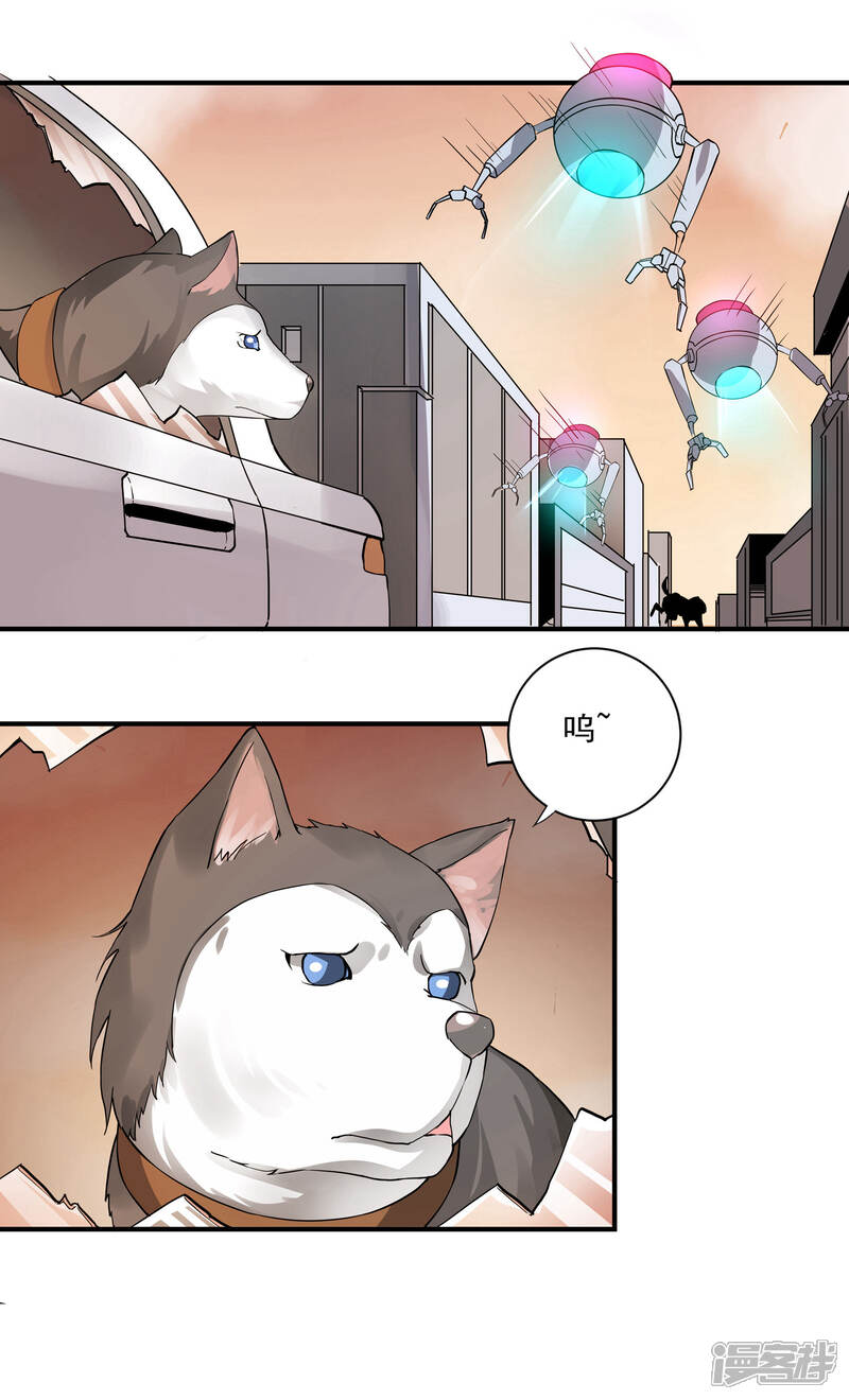 《犬侠》第62话 芯片与狗 第13页