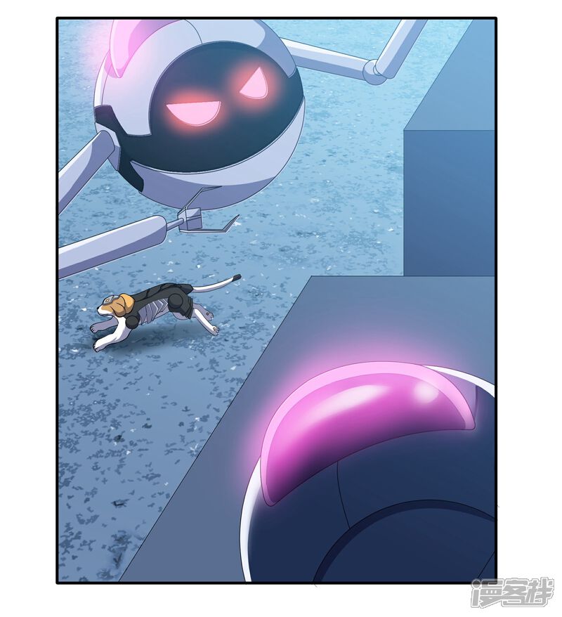 《犬侠》第79话 蠢蠢欲动 第17页