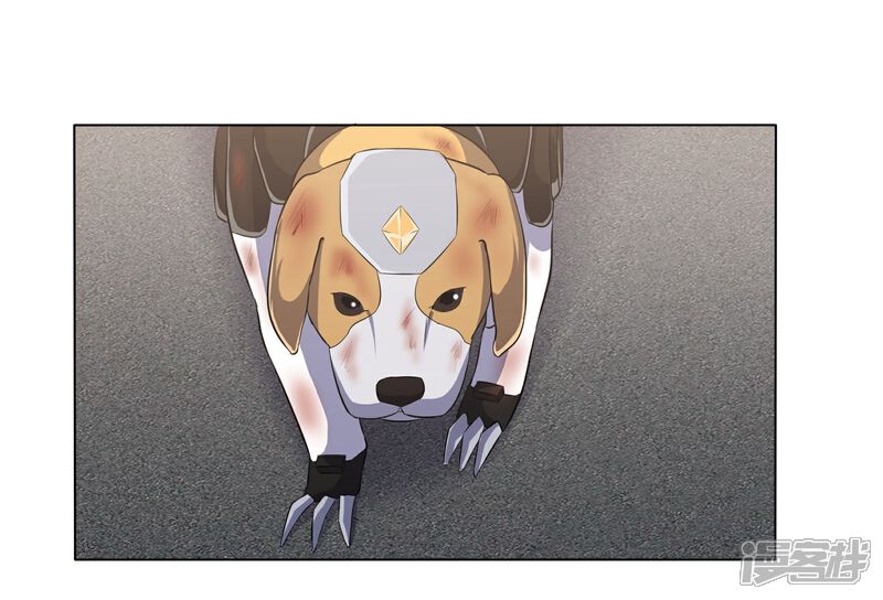 《犬侠》第81话 再遇壮壮 第16页