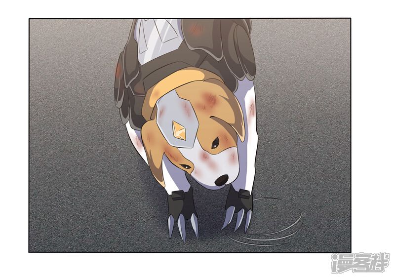 《犬侠》第81话 再遇壮壮 第17页