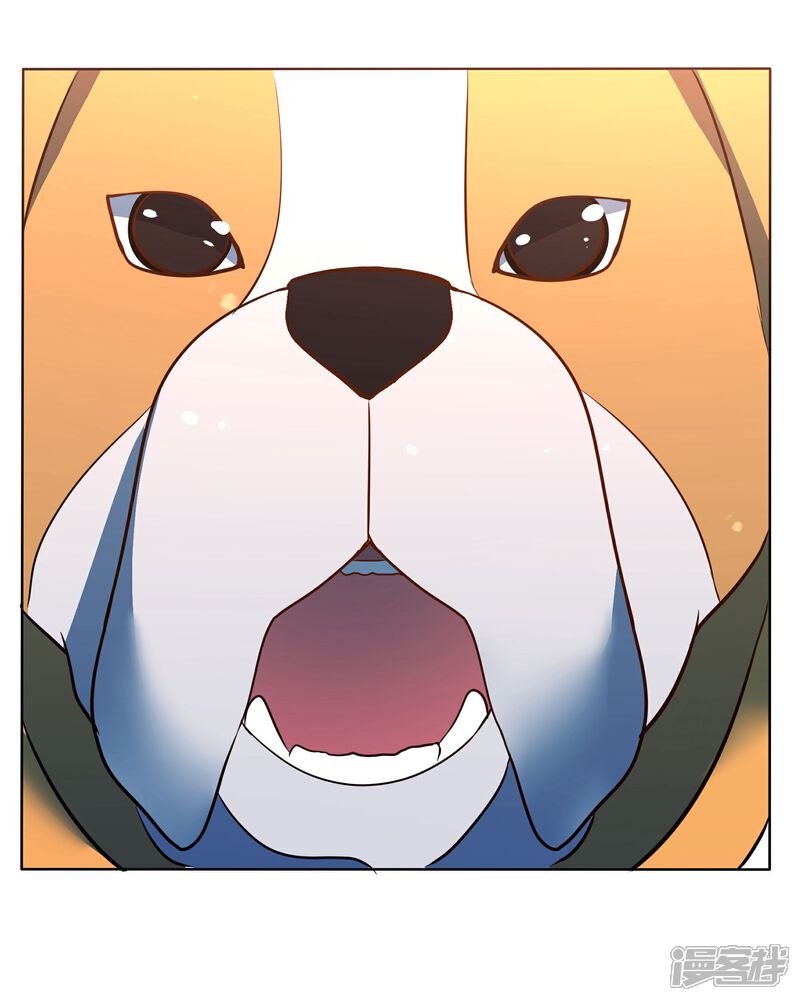 《犬侠》第91话 特别的狗 第21页