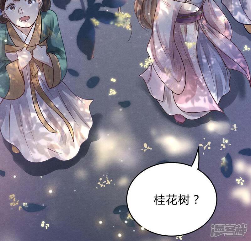 《战神狂妃凤倾天下》第8话 桂花树上的阴谋 第35页