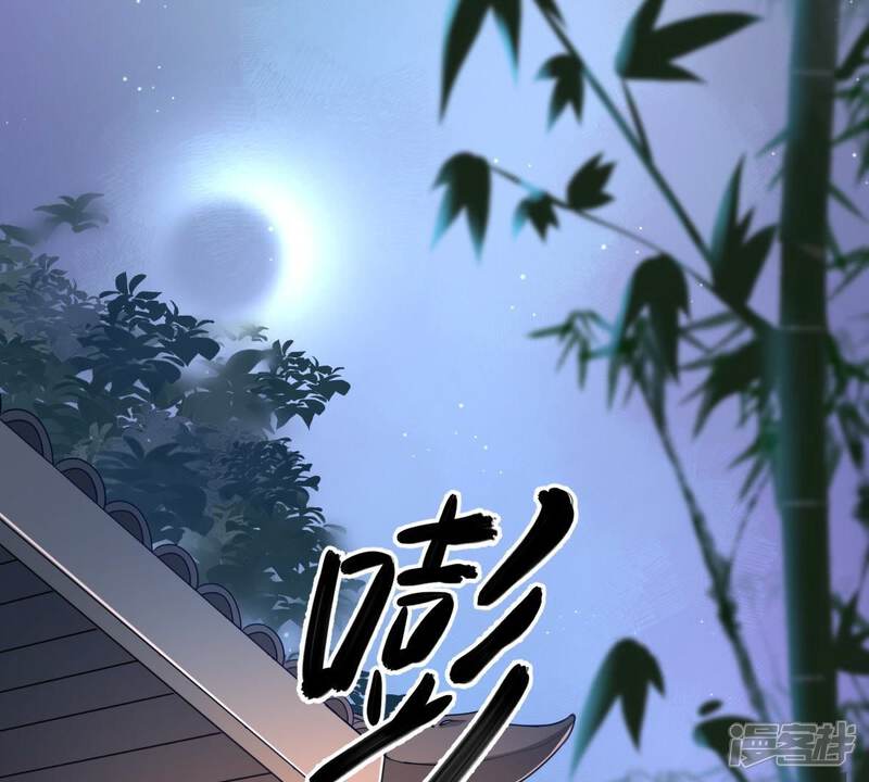 《战神狂妃凤倾天下》第29话 夜访玄王 第64页