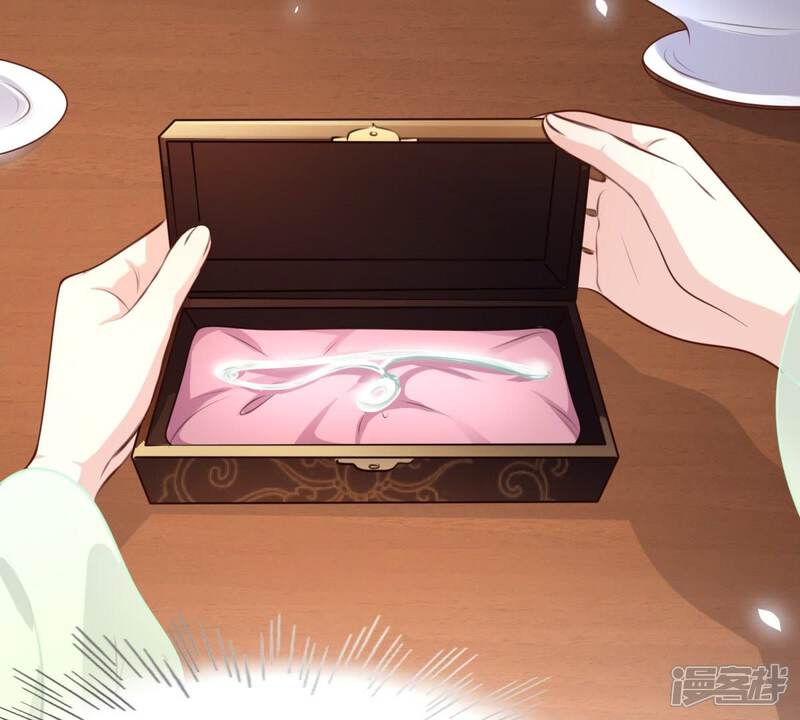 《战神狂妃凤倾天下》第38话 一份大礼 第19页
