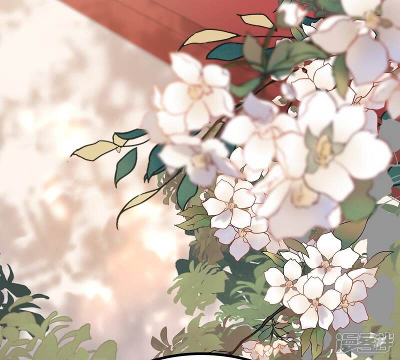 《战神狂妃凤倾天下》第45话 被妖孽醇王看上？ 第63页