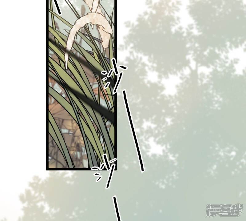 《战神狂妃凤倾天下》第51话 意在毁容 第4页