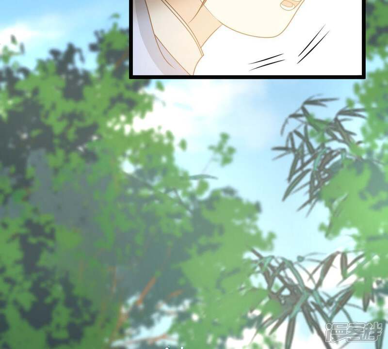 《战神狂妃凤倾天下》第63话 刁蛮小少爷 第29页