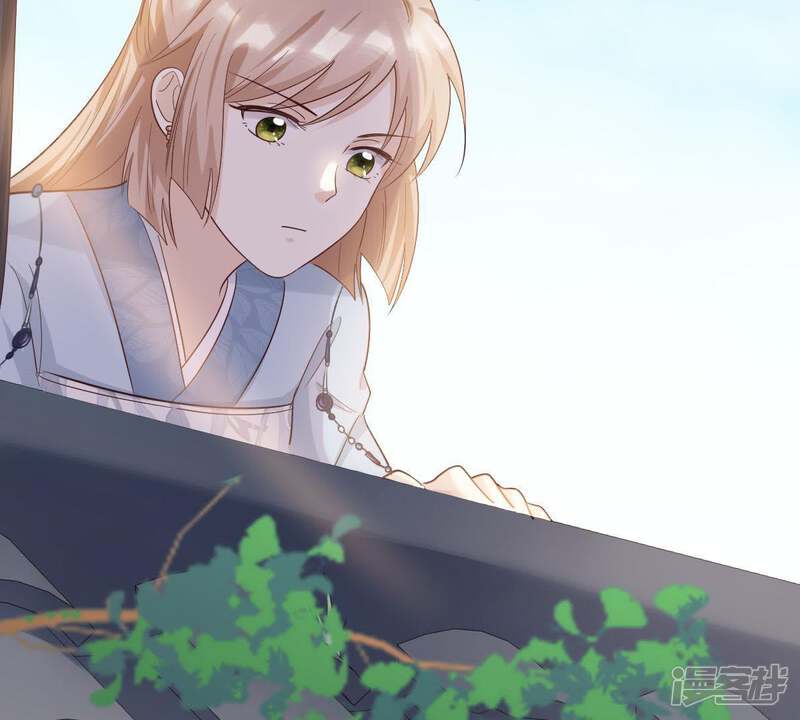 《战神狂妃凤倾天下》第65话 朱雀令 第12页