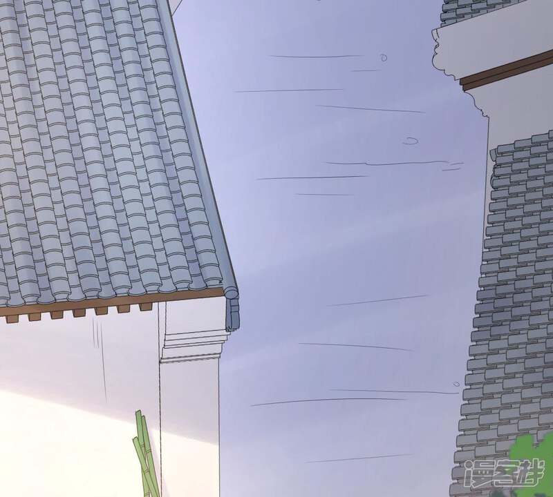 《战神狂妃凤倾天下》第65话 朱雀令 第29页