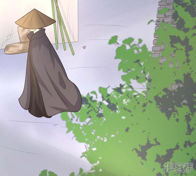 《战神狂妃凤倾天下》第65话 朱雀令 第30页