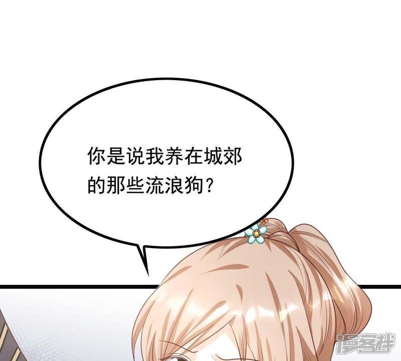 《战神狂妃凤倾天下》第68话 小狐狸和大灰狼 第14页