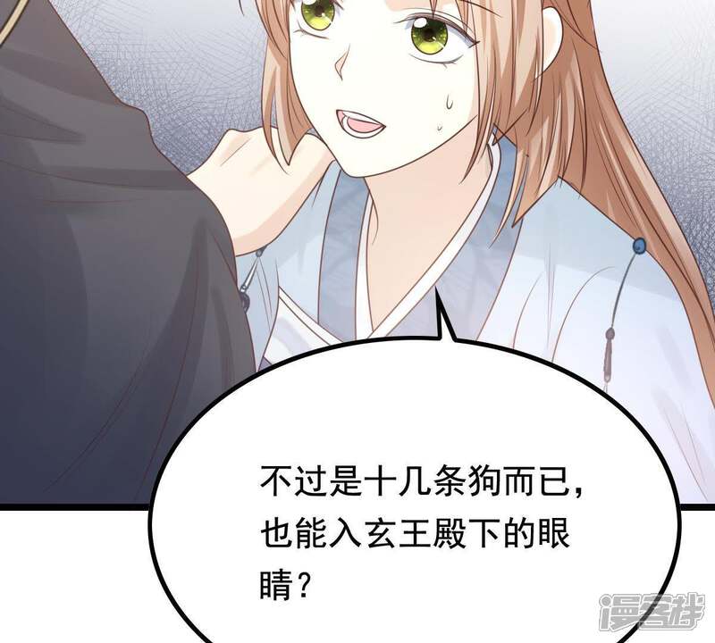《战神狂妃凤倾天下》第68话 小狐狸和大灰狼 第15页