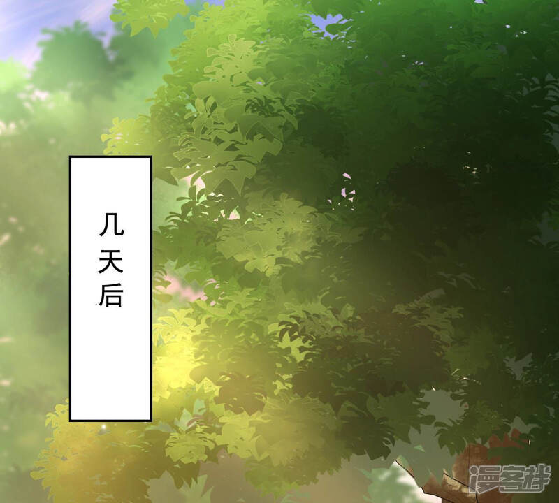《战神狂妃凤倾天下》第80话 红衣夫人 第4页