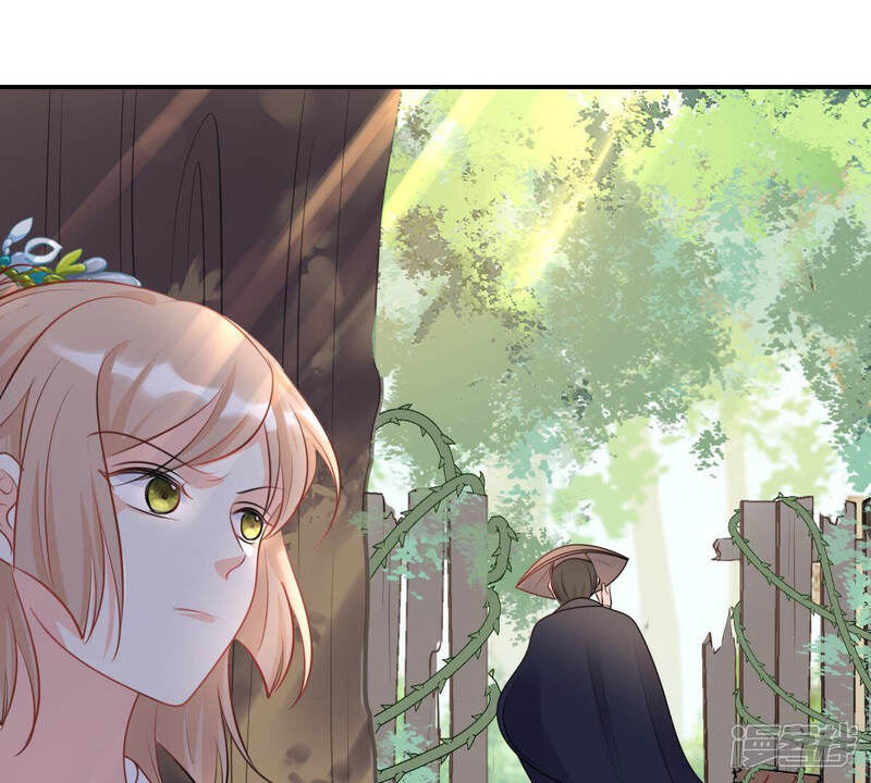 《战神狂妃凤倾天下》第91话 给太妃下毒 第45页