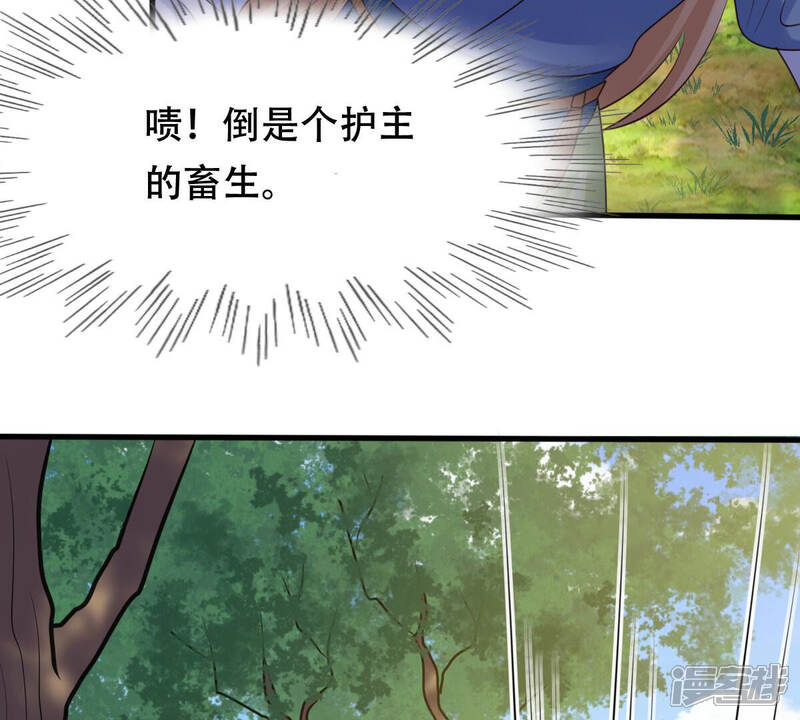 《战神狂妃凤倾天下》第92话 再行险招 第62页
