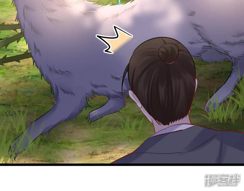 《战神狂妃凤倾天下》第93话 神秘男子 第11页