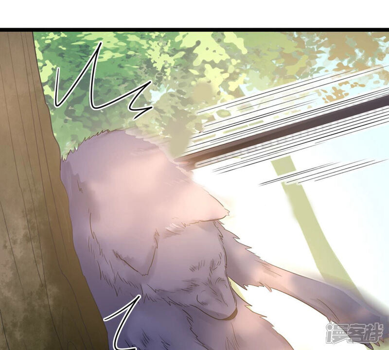 《战神狂妃凤倾天下》第93话 神秘男子 第67页