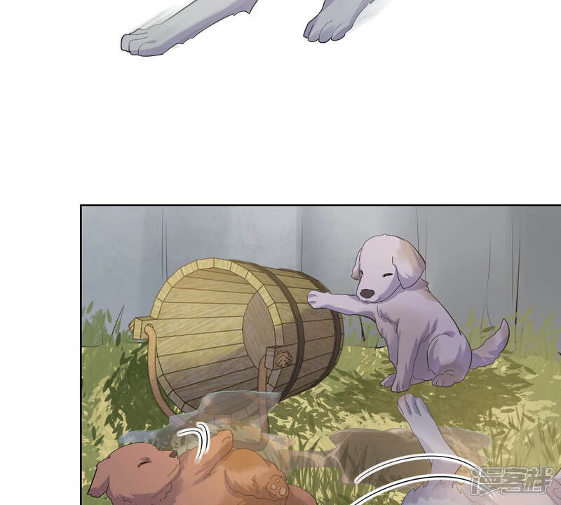 《战神狂妃凤倾天下》第106话 再遇红衣男子 第42页