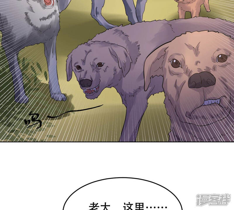 《战神狂妃凤倾天下》第106话 再遇红衣男子 第47页