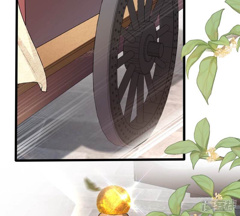 《战神狂妃凤倾天下》第152话 皇家马车 第41页