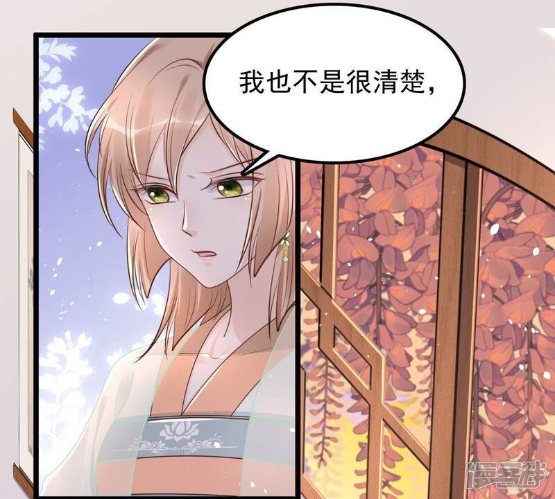 《战神狂妃凤倾天下》第151话 生母，仇恨 第98页
