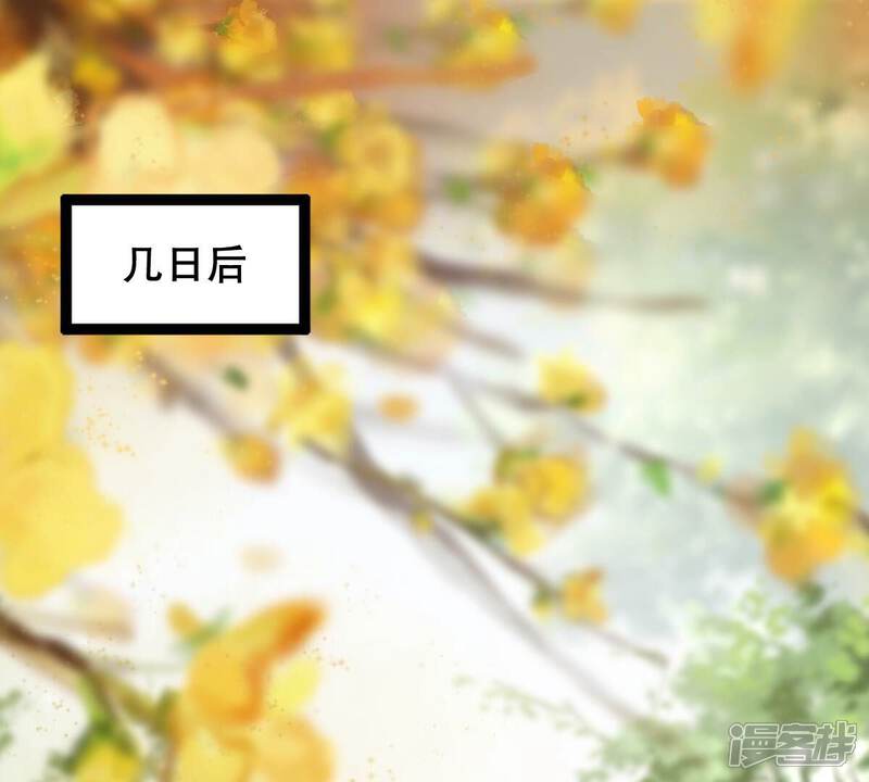 《战神狂妃凤倾天下》第182话 绝子阴谋 第4页