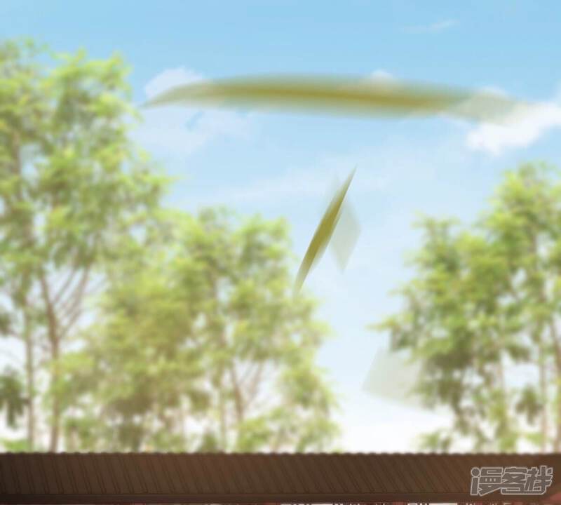 《战神狂妃凤倾天下》第207话 比试比试 第12页