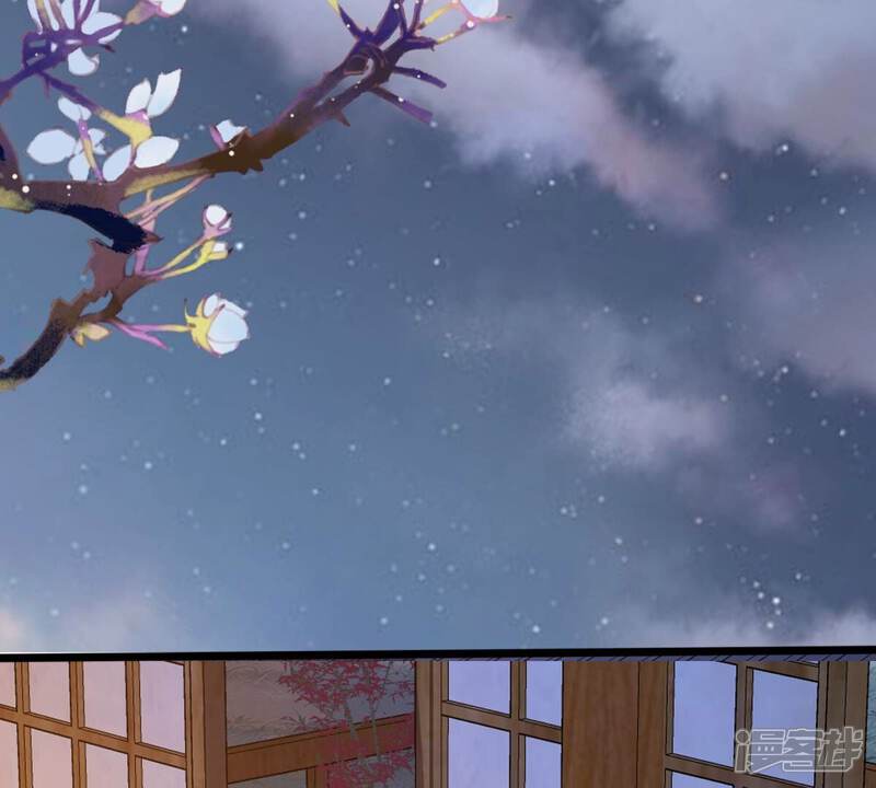 《战神狂妃凤倾天下》第216话 玄王妃唯一人选 第24页