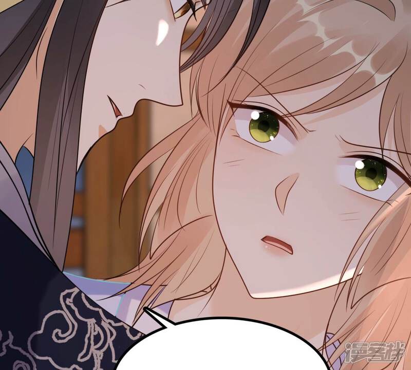 《战神狂妃凤倾天下》第216话 玄王妃唯一人选 第45页