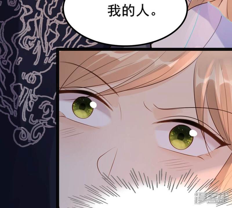 《战神狂妃凤倾天下》第216话 玄王妃唯一人选 第46页