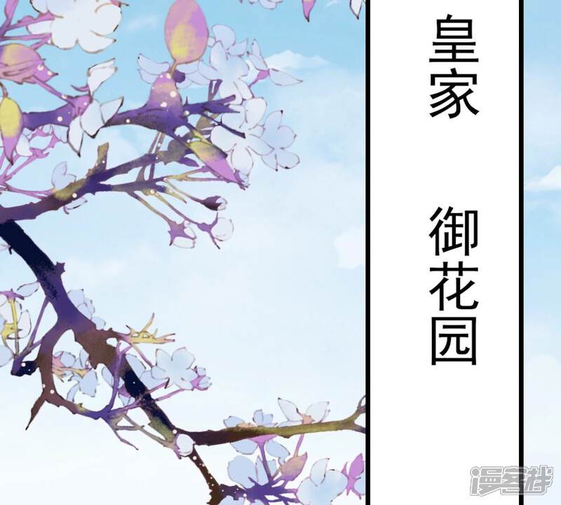 《战神狂妃凤倾天下》第217话 宣告 第37页