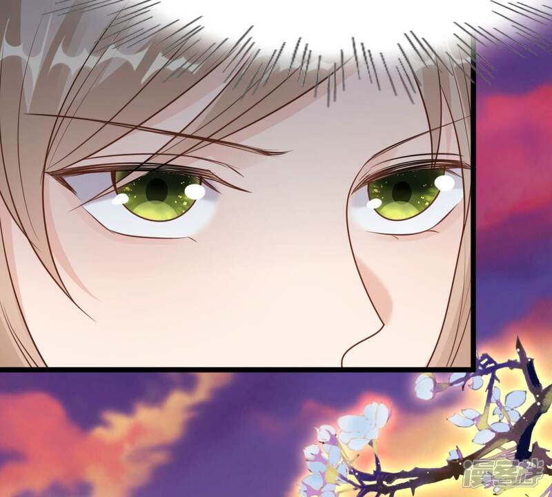 《战神狂妃凤倾天下》第221话 不配真心 第30页