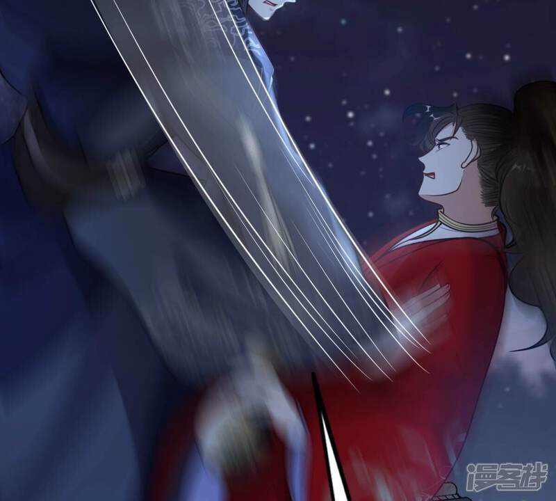 《战神狂妃凤倾天下》第223话 暗夜斗殴？ 第13页