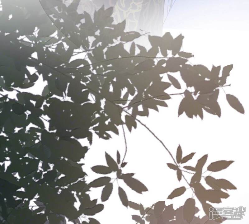 《战神狂妃凤倾天下》第227话 恋爱的酸甜滋味 第72页
