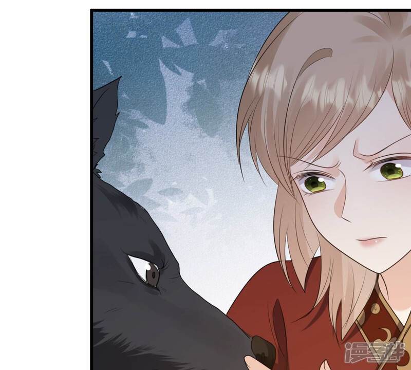 《战神狂妃凤倾天下》第242话 皇后的试探 第65页