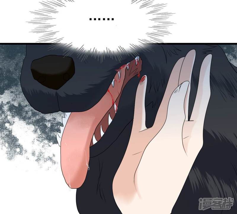《战神狂妃凤倾天下》第242话 皇后的试探 第67页