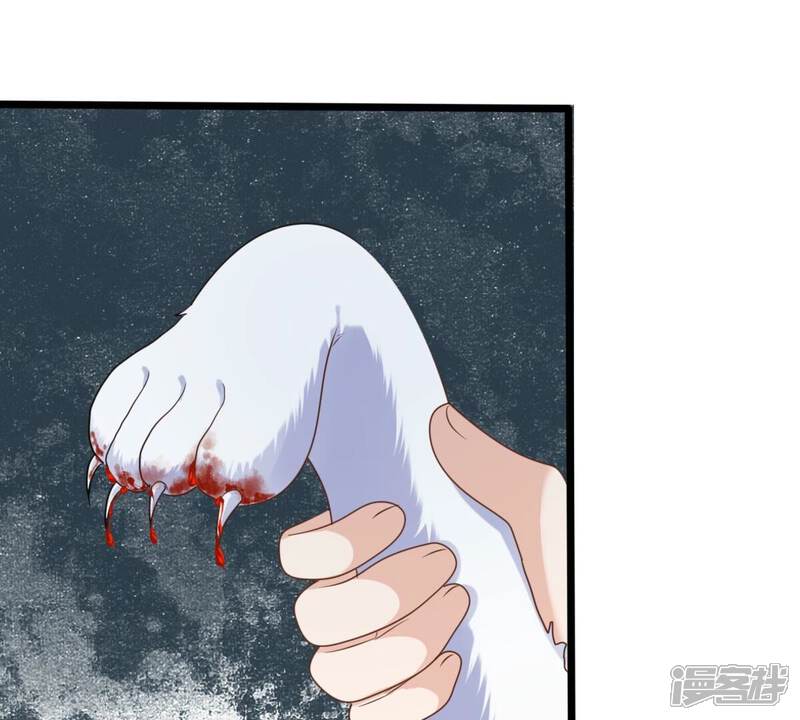 《战神狂妃凤倾天下》第244话 打脸就要响亮 第14页