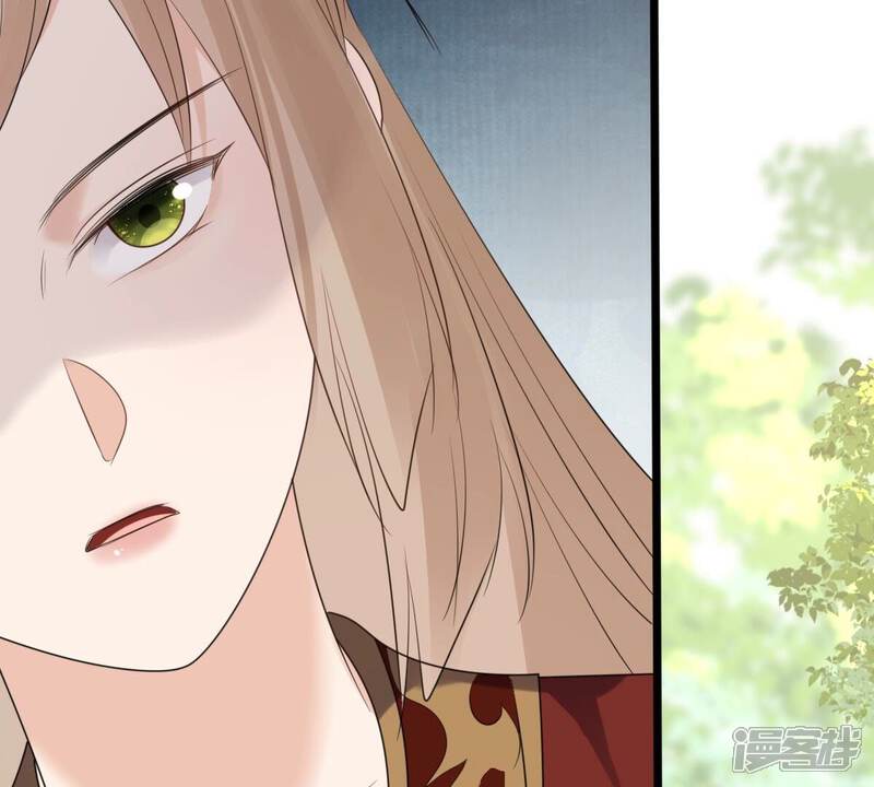 《战神狂妃凤倾天下》第244话 打脸就要响亮 第55页