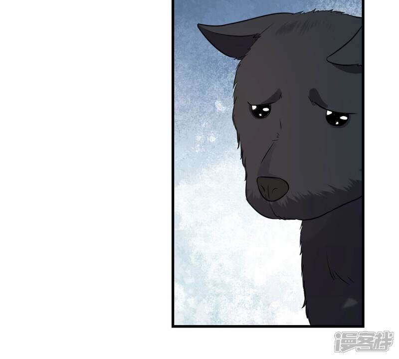 《战神狂妃凤倾天下》第243话 杀了咬人的狗 第46页