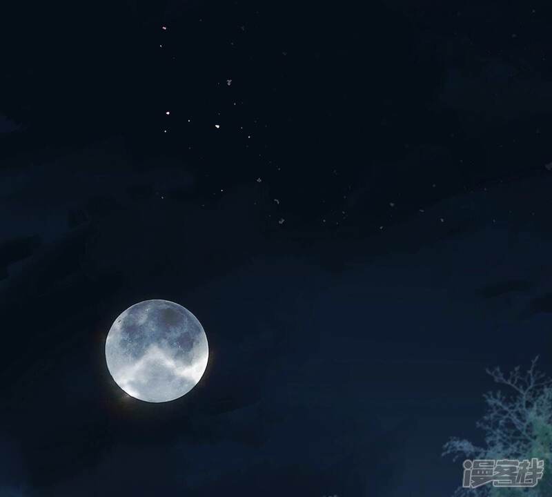 《战神狂妃凤倾天下》第251话 郁菲雪失踪了！ 第43页